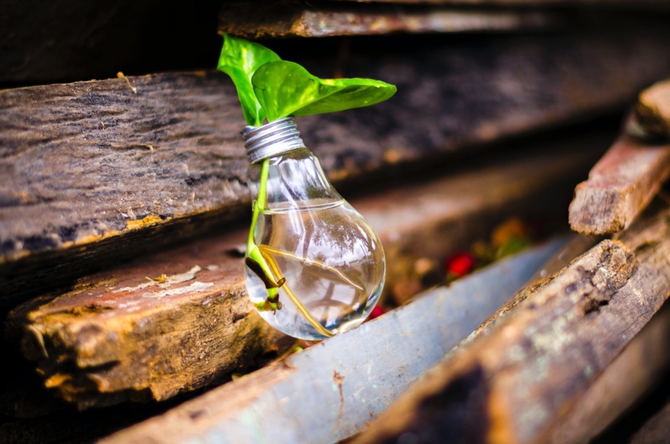 Ignite Group - Stilbild
